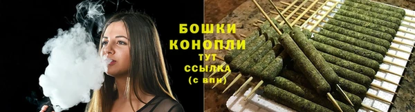 молекула духа Бородино