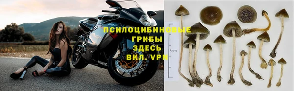 круглые Бронницы