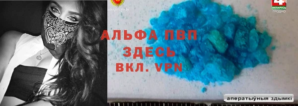 молекула духа Бородино