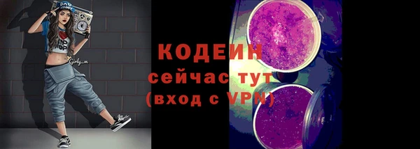 молекула духа Бородино
