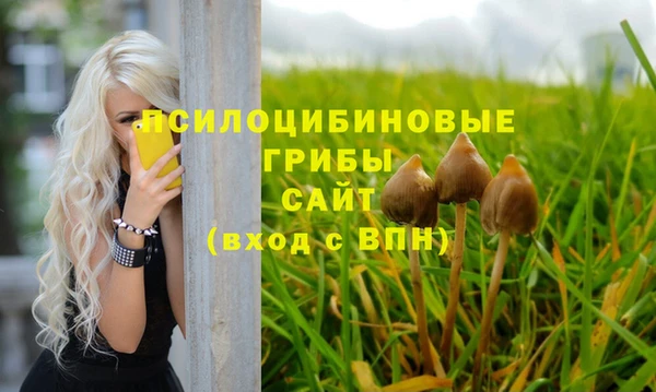 круглые Бронницы