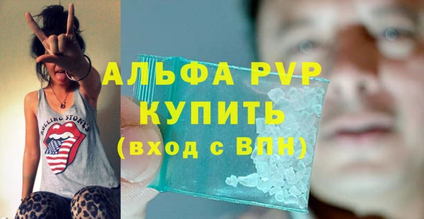 молекула духа Бородино