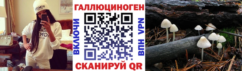 Псилоцибиновые грибы Magic Shrooms  Иваново 